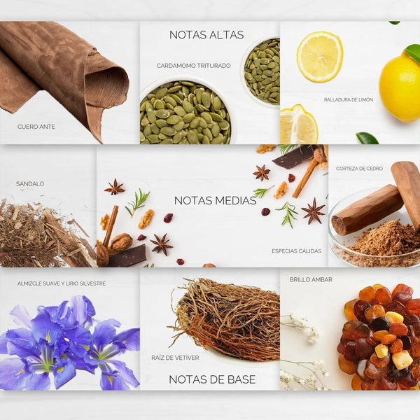 Santal 33 — Esencia para Difusor Profesional | Maderosa · IFRA · Sin agua Ash & Nectar