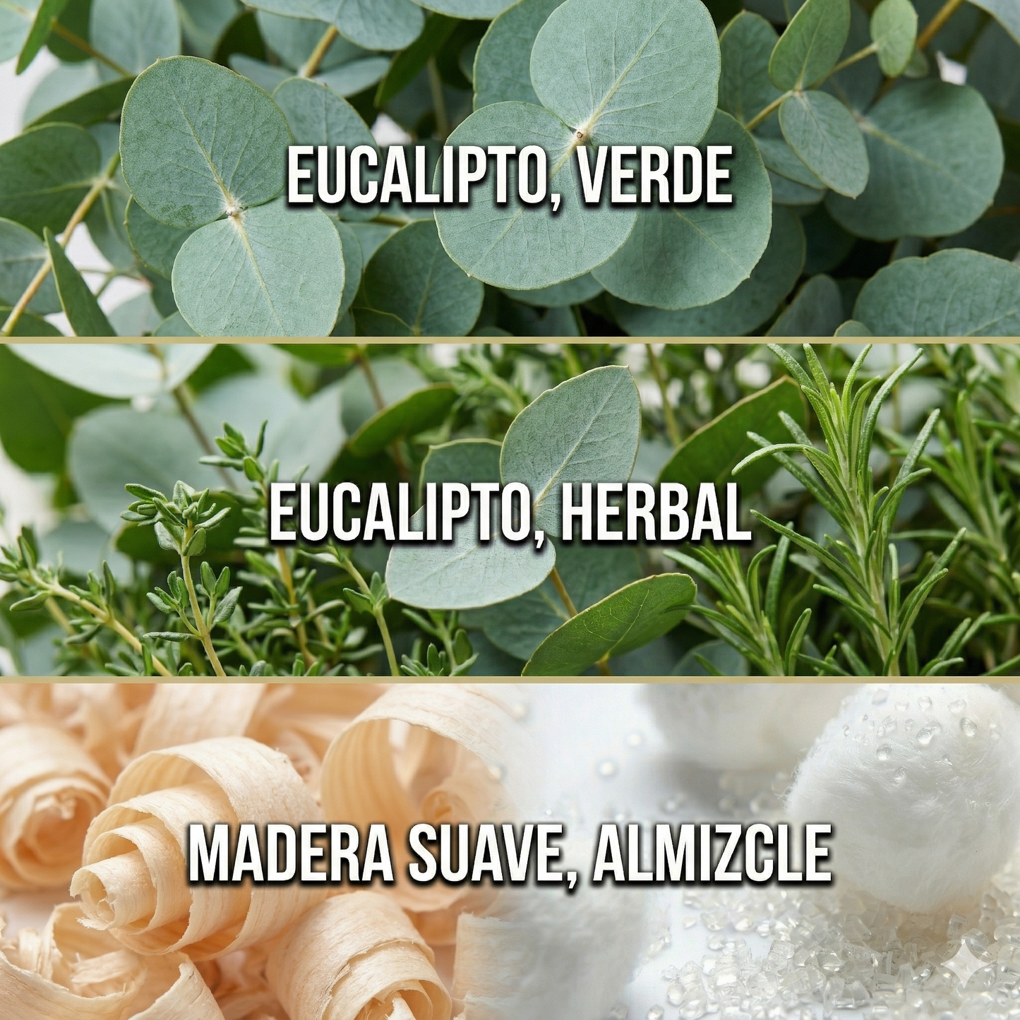 Eucalipto — Esencia para Difusor Profesional | Ash & Nectar