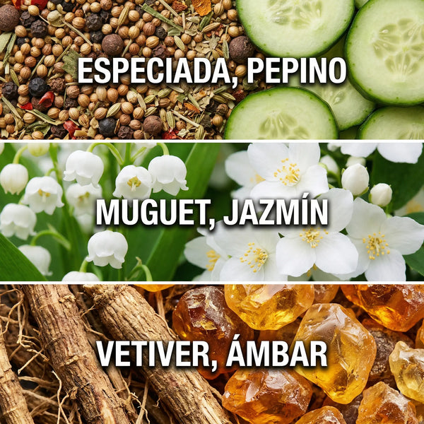 Palacio de Hierro - Esencia para Difusor Profesional | Vetiver · IFRA · Sin agua Ash & Nectar