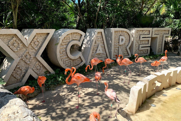Inspired by: Hotel Xcaret Arte®