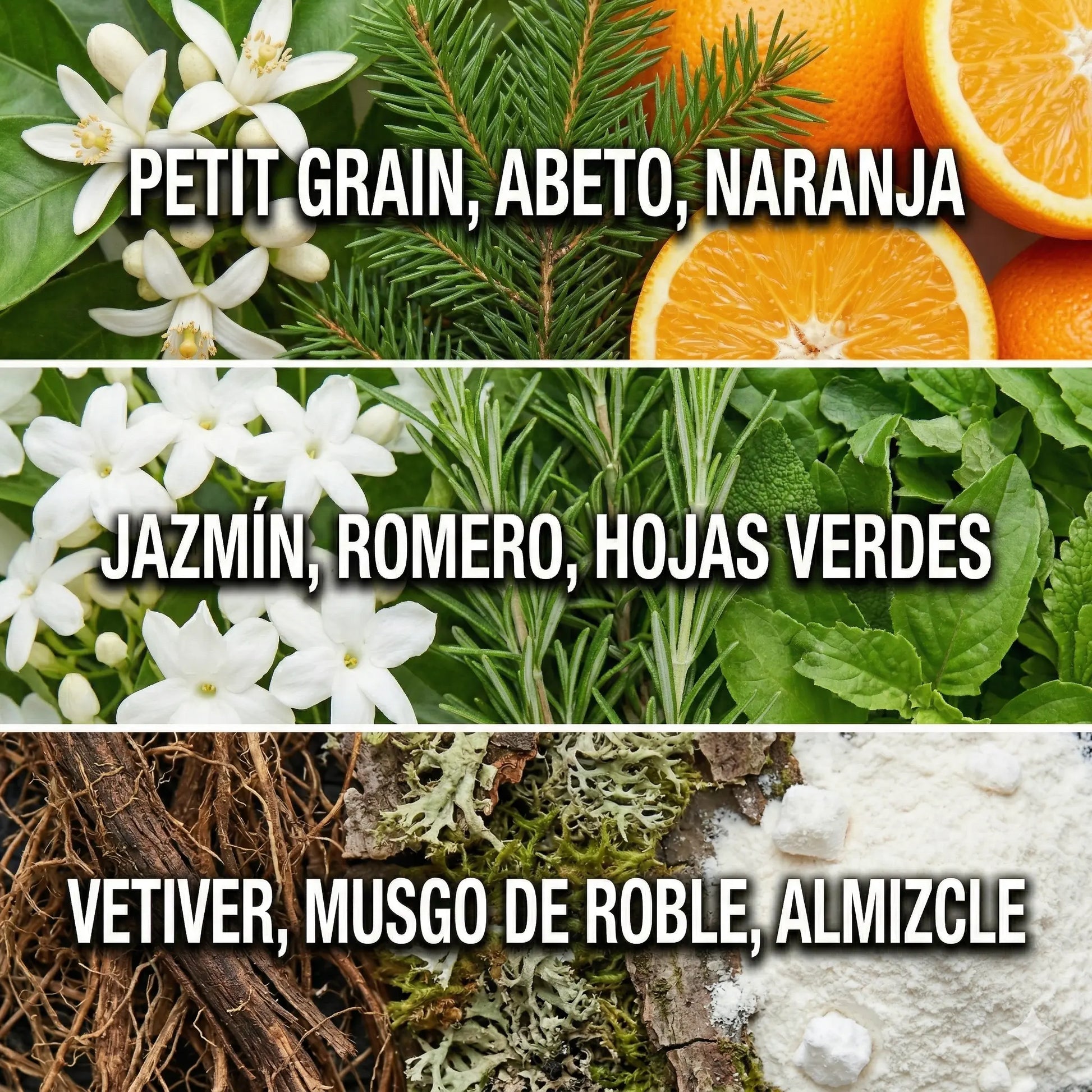 Abercrombie Fierce — Esencia para Difusor Profesional | Maderosa · IFRA · Sin agua Ash & Nectar