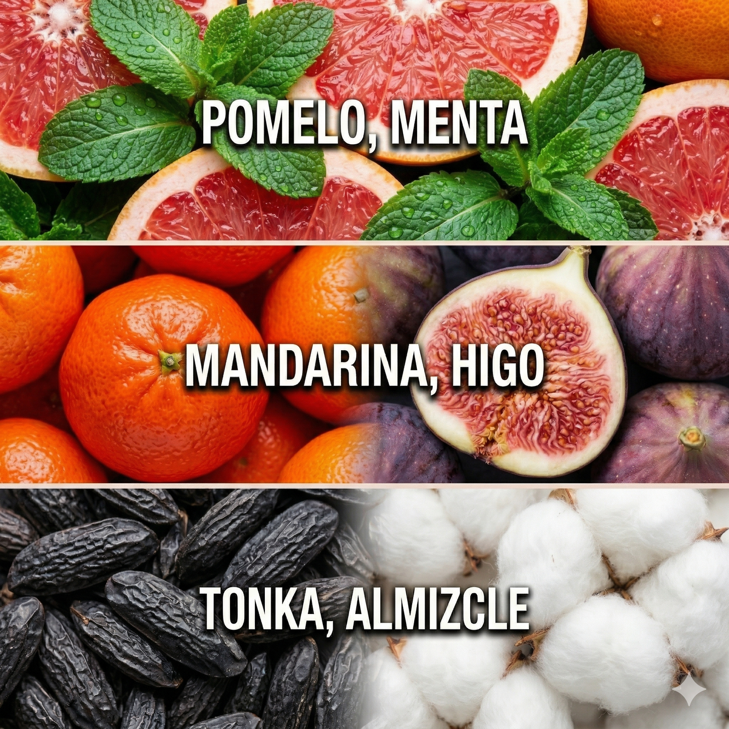 Innovasport — Esencia para Difusor Profesional | Ash & Nectar