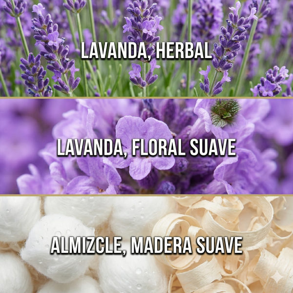 Lavanda — Esencia para Difusor Profesional | Ash & Nectar