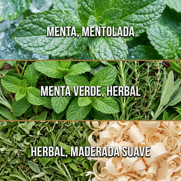 Menta — Esencia para Difusor Profesional | Ash & Nectar
