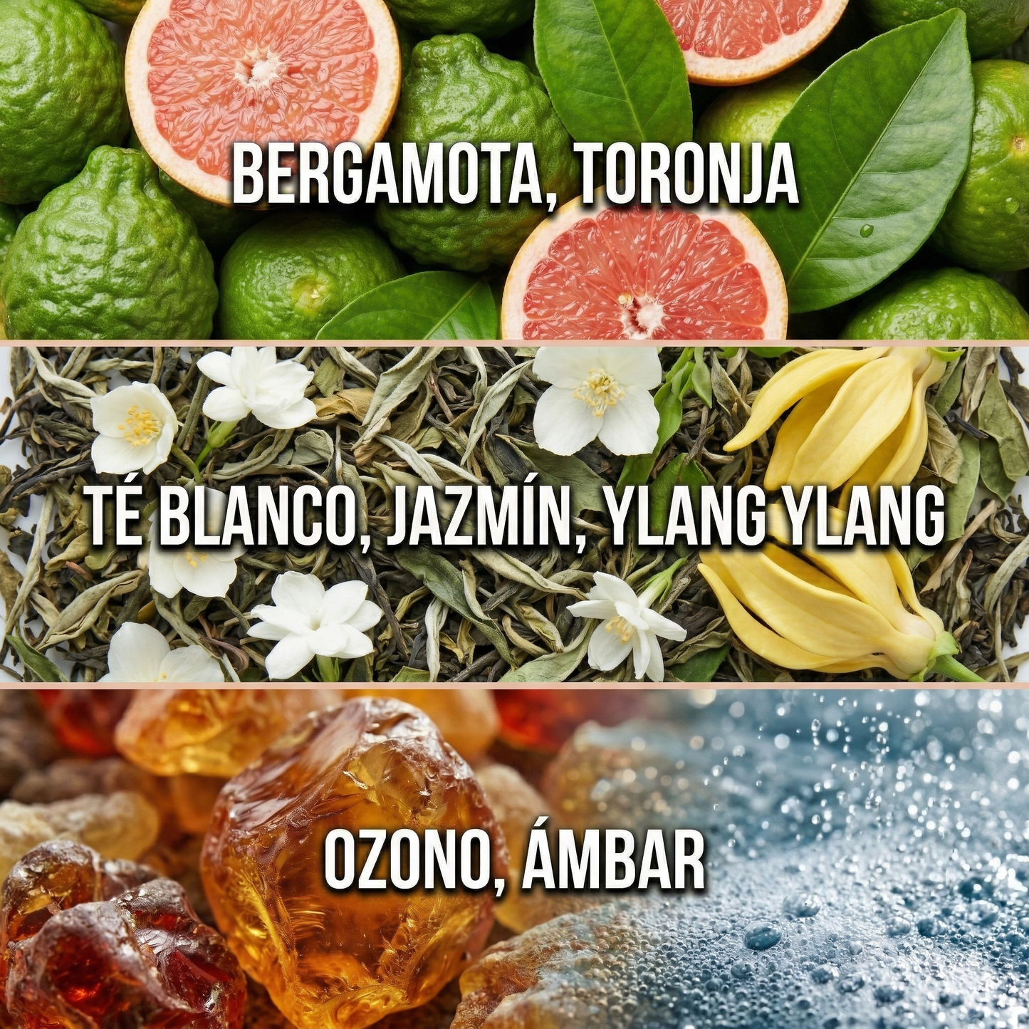 Hotel Ritz Carlton — Esencia para Difusor Profesional | Ash & Nectar